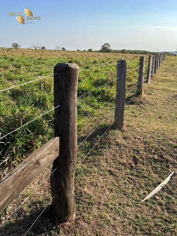 Fazenda à venda de 760 ha em Juscimeira, MT, Brasil