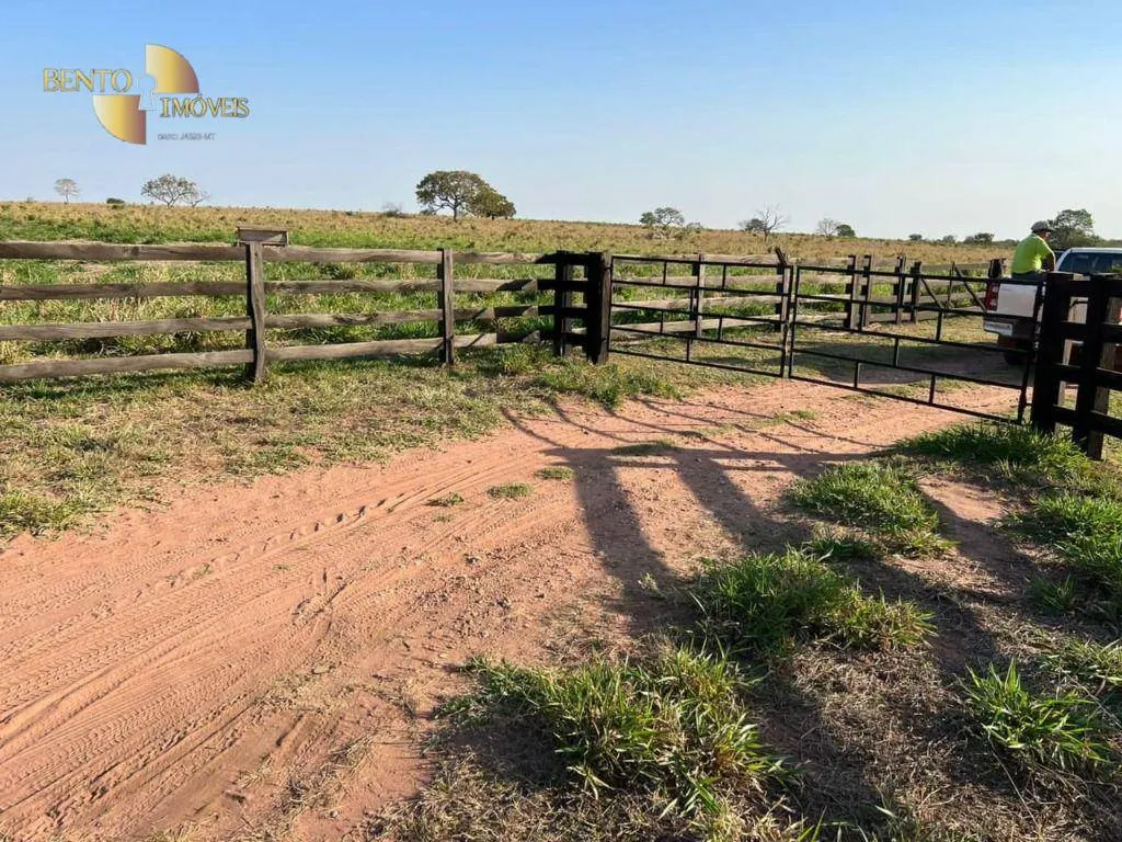 Fazenda à venda de 760 ha em Juscimeira, MT, Brasil