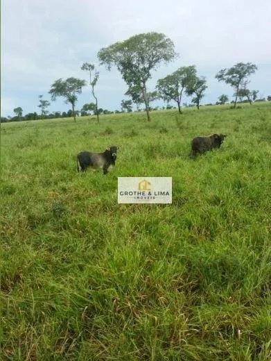 Fazenda à venda de 1.005 ha em Campo Grande, MS, Brasil