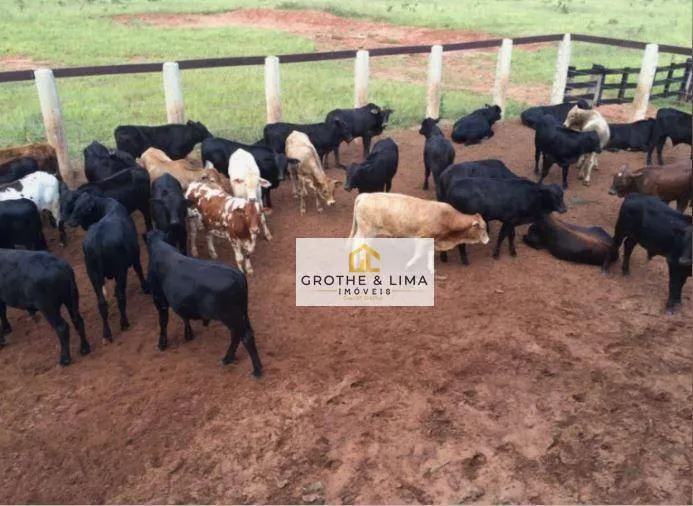 Fazenda à venda de 1.005 ha em Campo Grande, MS, Brasil