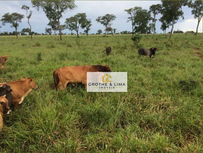 Fazenda à venda de 1.005 ha em Campo Grande, MS, Brasil