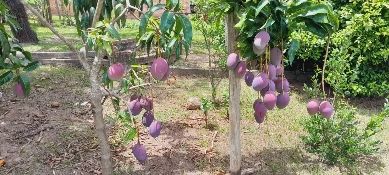 Country home for sale of 5 acres in Bofete, SP, Brazil