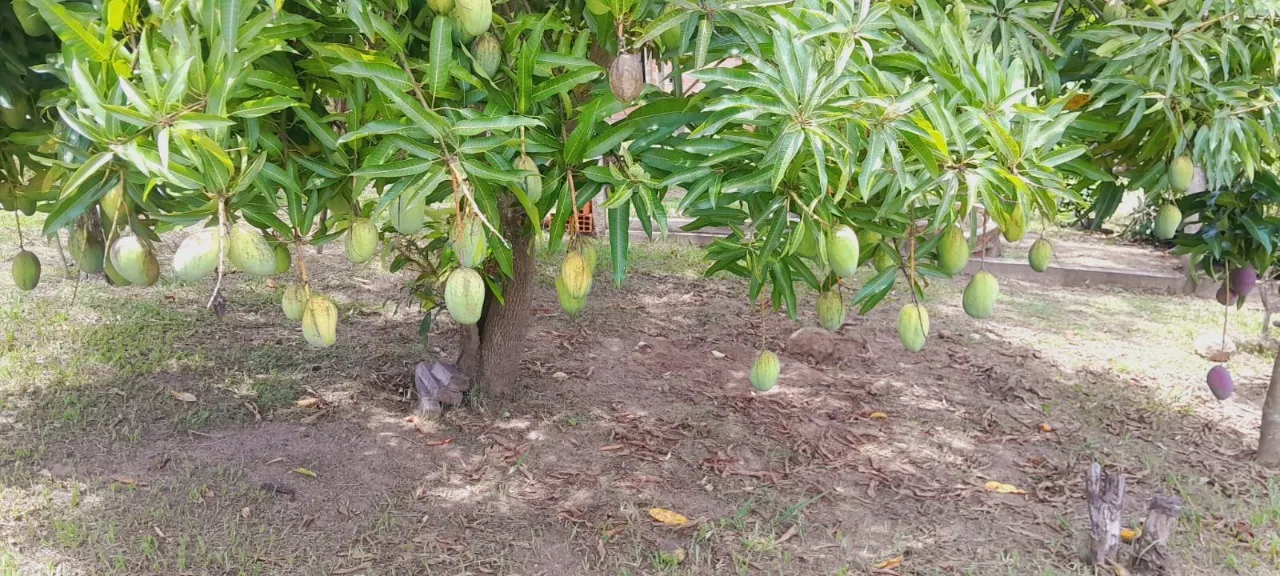 Country home for sale of 5 acres in Bofete, SP, Brazil