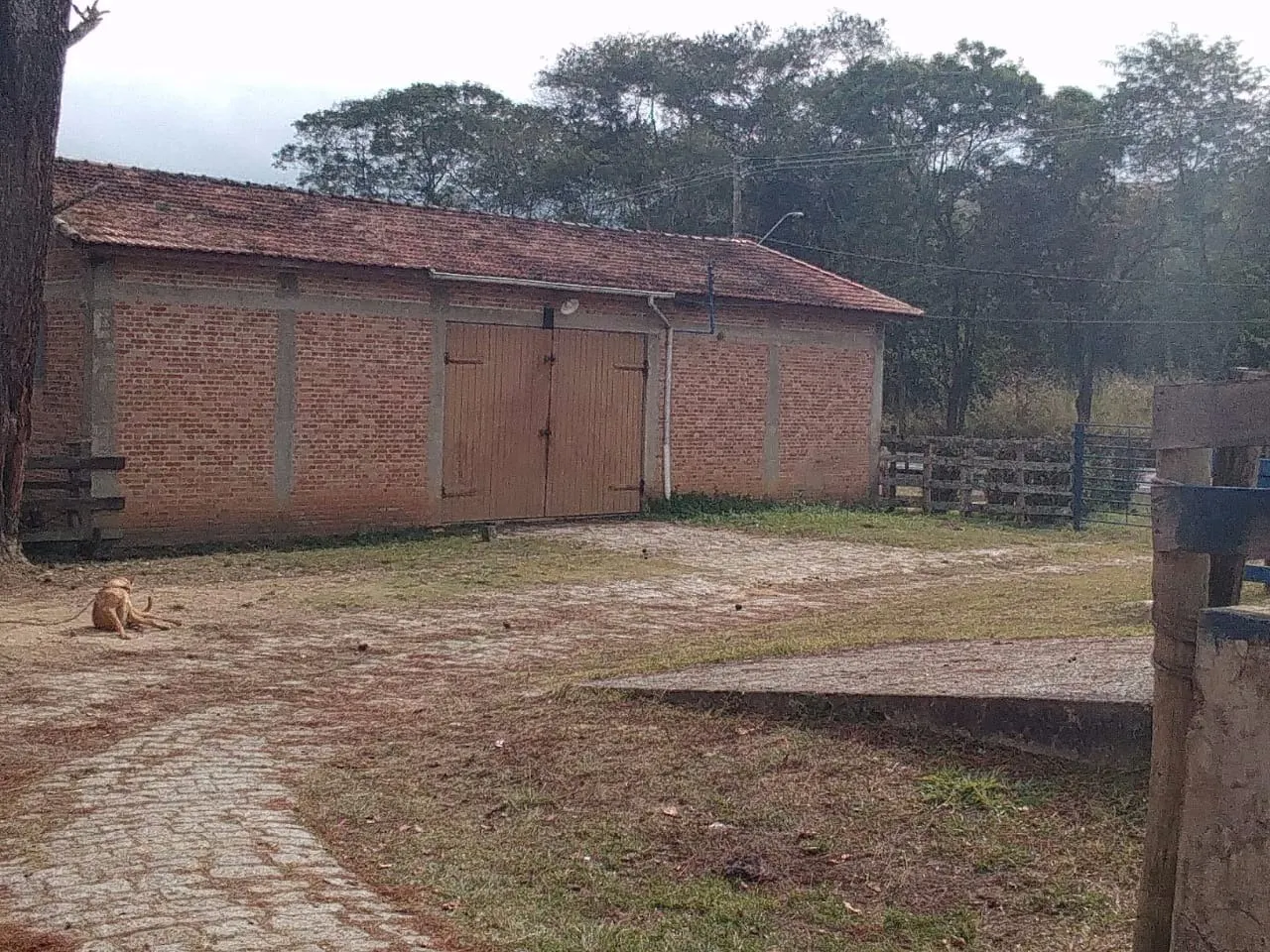 Small farm for sale of 227 acres in Pindamonhangaba, SP, Brazil