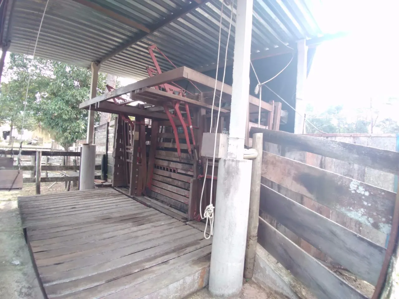 Small farm for sale of 227 acres in Pindamonhangaba, SP, Brazil