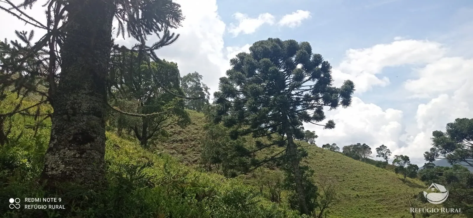 Sítio à venda de 21 ha em São José dos Campos, SP, Brasil