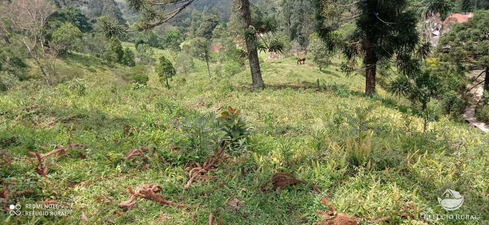 Sítio à venda de 21 ha em São José dos Campos, SP, Brasil
