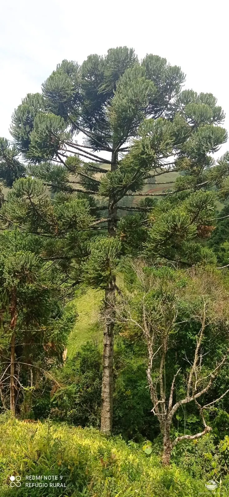 Sítio à venda de 21 ha em São José dos Campos, SP, Brasil