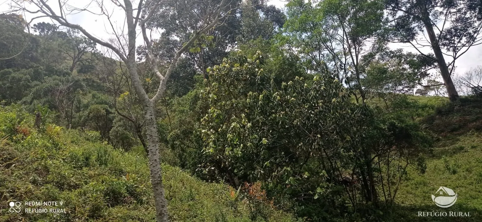 Sítio à venda de 21 ha em São José dos Campos, SP, Brasil