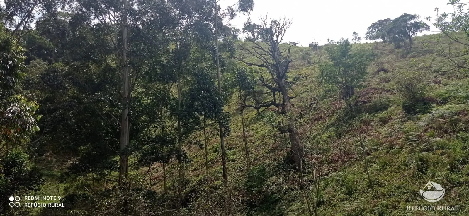 Sítio à venda de 21 ha em São José dos Campos, SP, Brasil