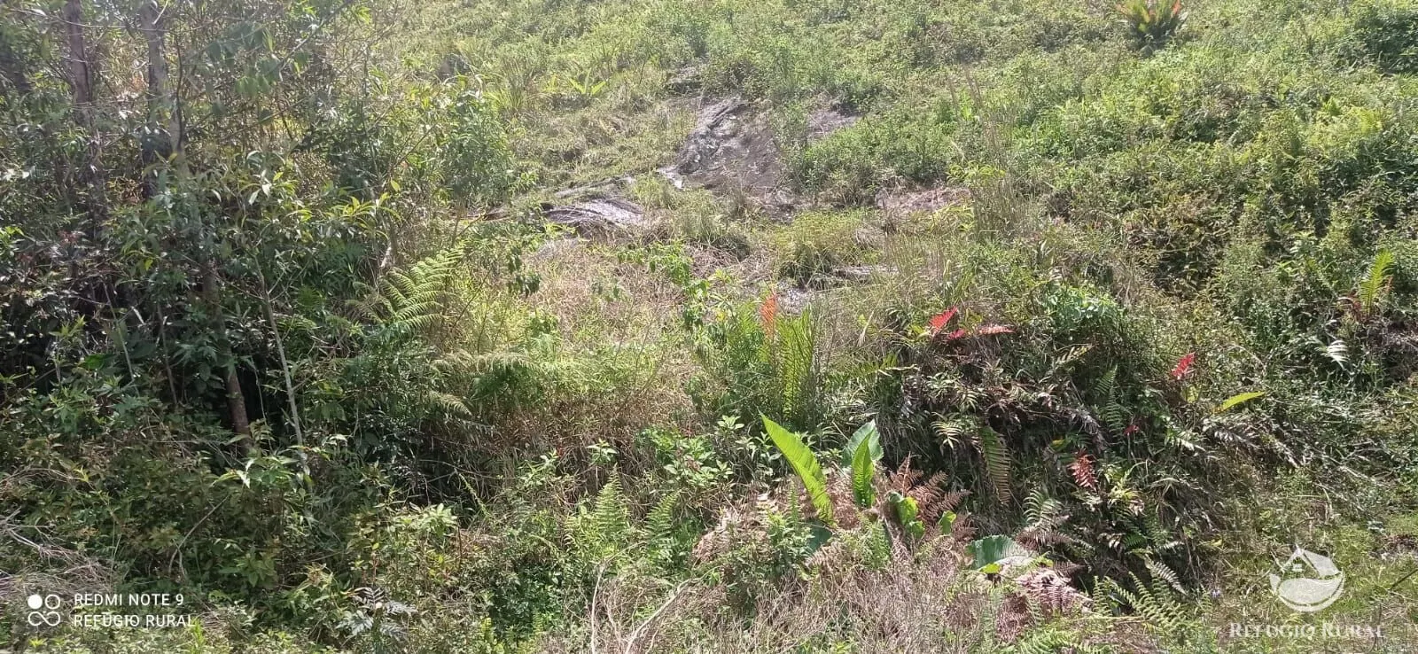 Sítio à venda de 21 ha em São José dos Campos, SP, Brasil