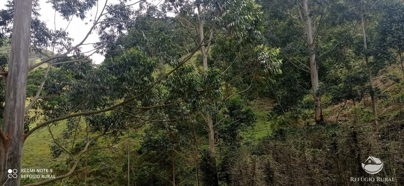 Sítio à venda de 21 ha em São José dos Campos, SP, Brasil