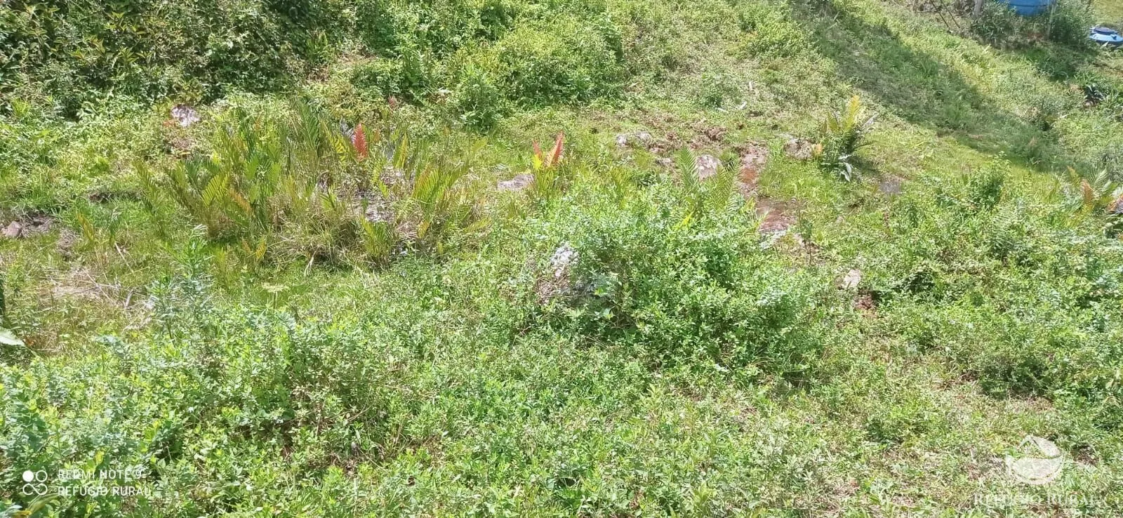 Sítio à venda de 21 ha em São José dos Campos, SP, Brasil