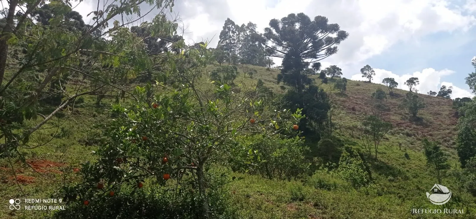 Sítio à venda de 21 ha em São José dos Campos, SP, Brasil