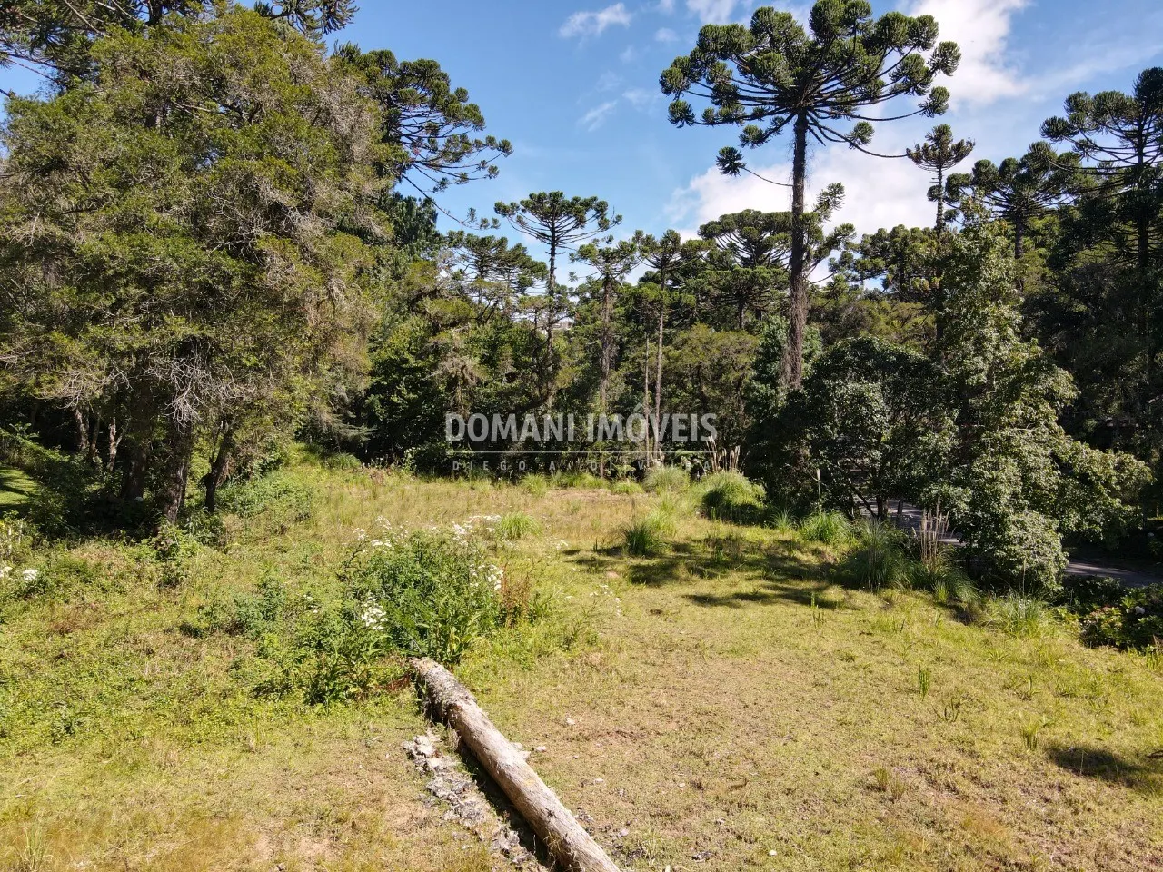 Terreno à venda de 2.865 m² em Campos do Jordão, SP, Brasil