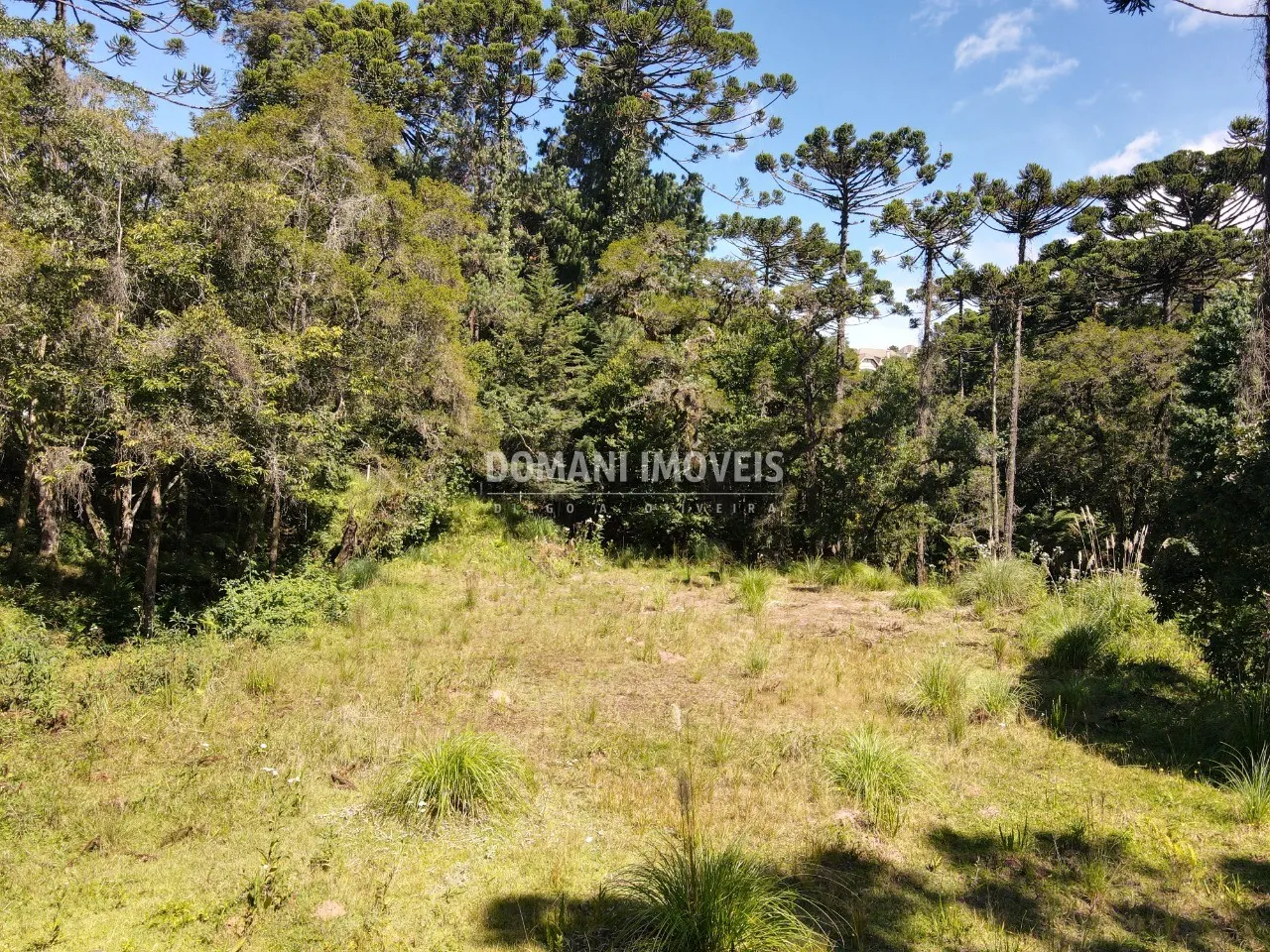 Terreno à venda de 2.865 m² em Campos do Jordão, SP, Brasil