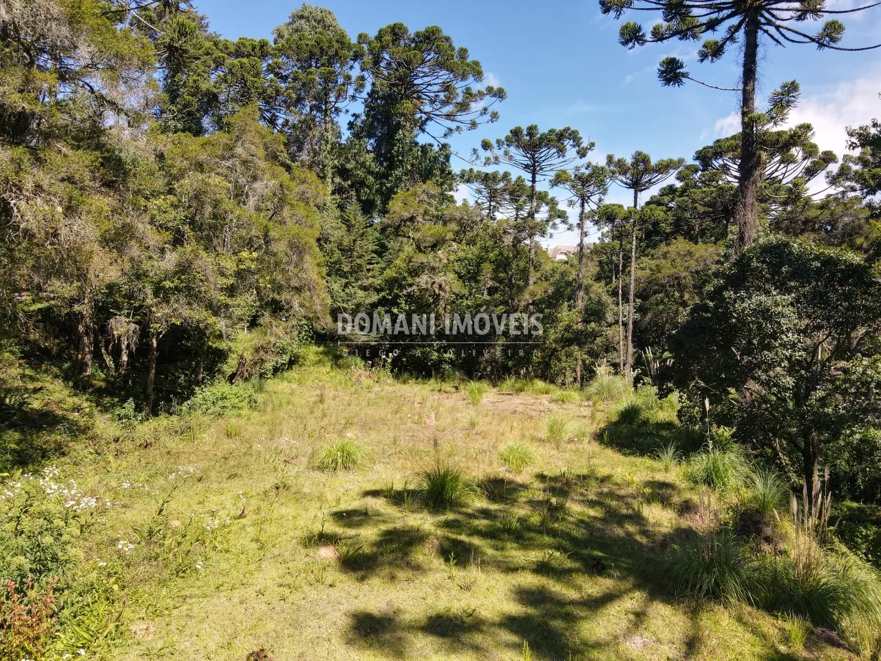 Terreno à venda de 2.865 m² em Campos do Jordão, SP, Brasil