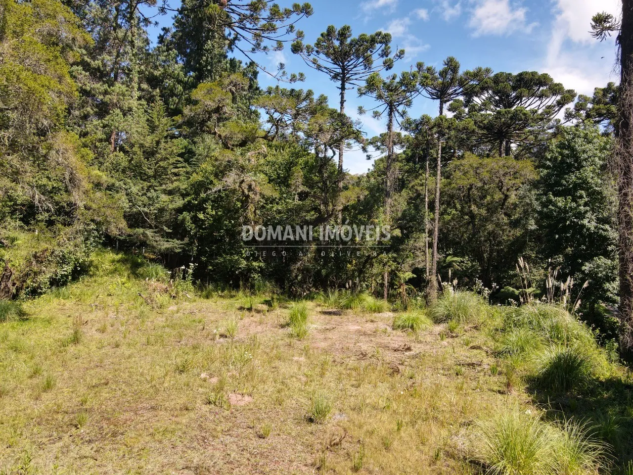 Terreno à venda de 2.865 m² em Campos do Jordão, SP, Brasil