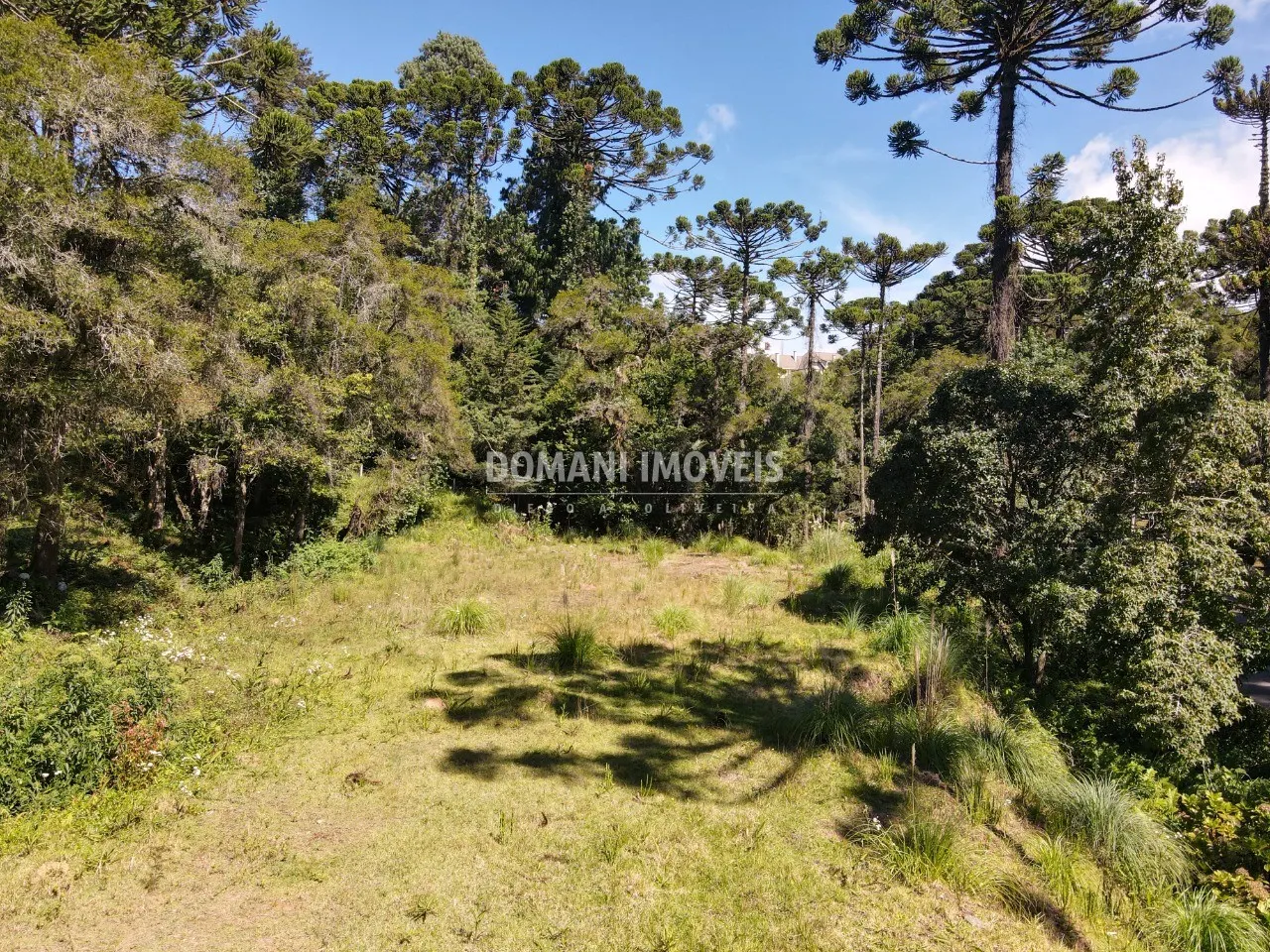 Terreno à venda de 2.865 m² em Campos do Jordão, SP, Brasil