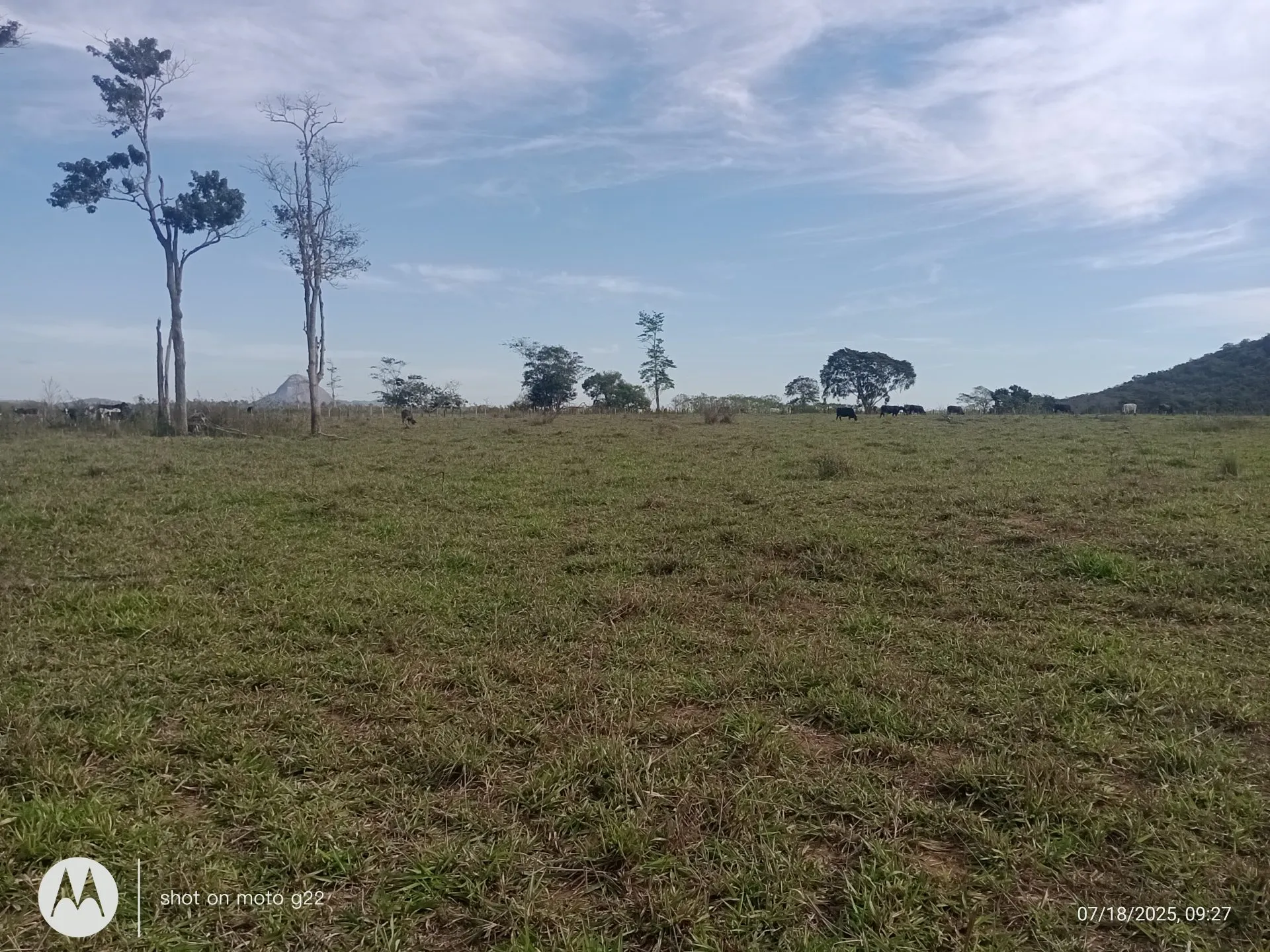 Farm for sale of 308 acres in Nova Venécia, ES, Brazil