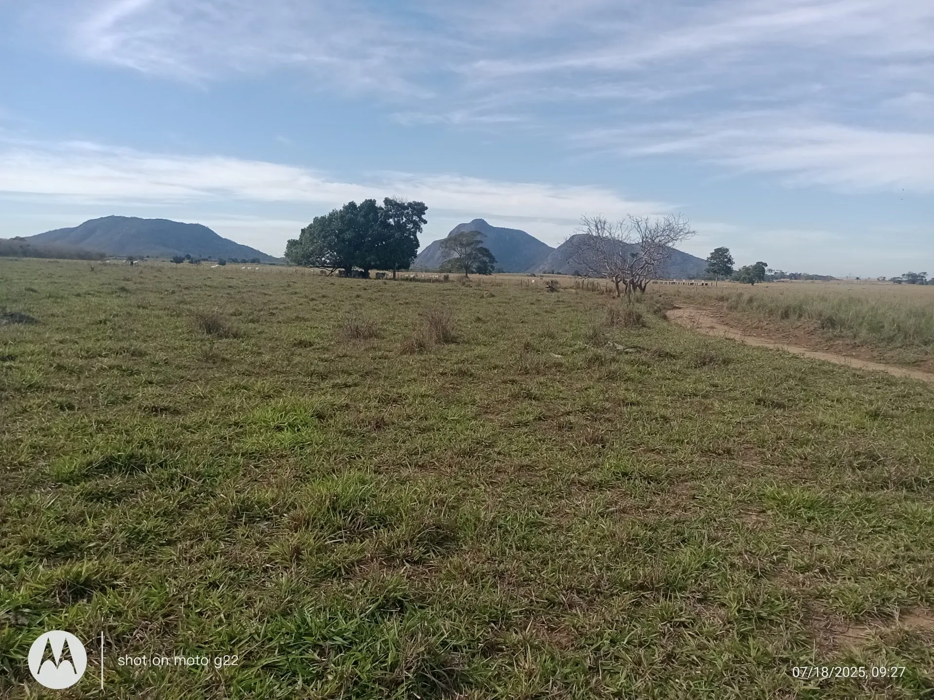 Farm for sale of 308 acres in Nova Venécia, ES, Brazil