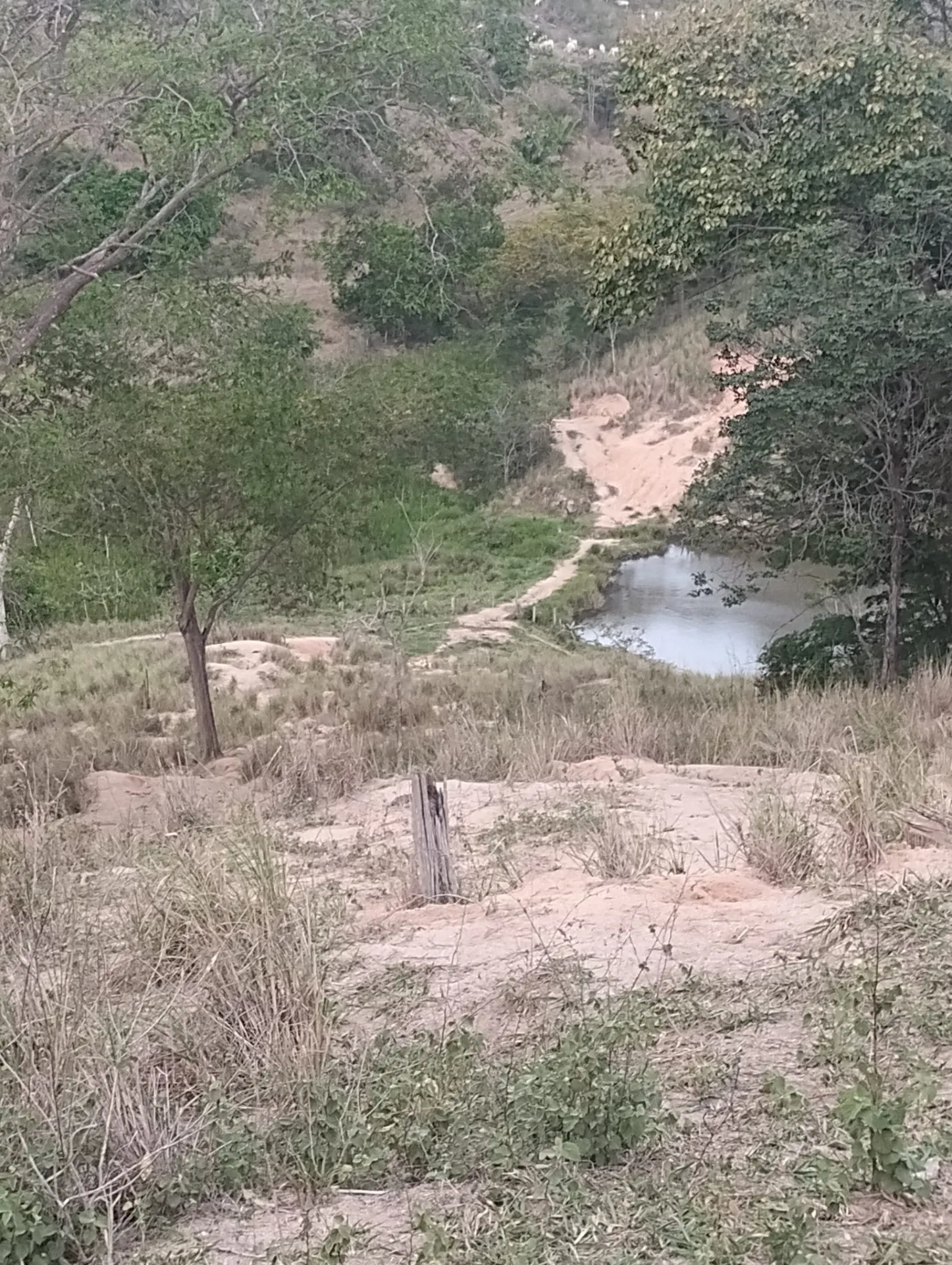 Farm for sale of 308 acres in Nova Venécia, ES, Brazil
