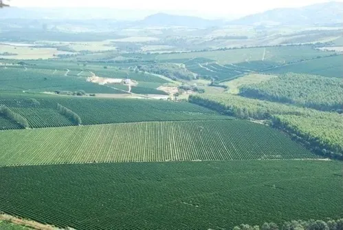 Farm for sale of 1,310 acres in Piumhi, MG, Brazil