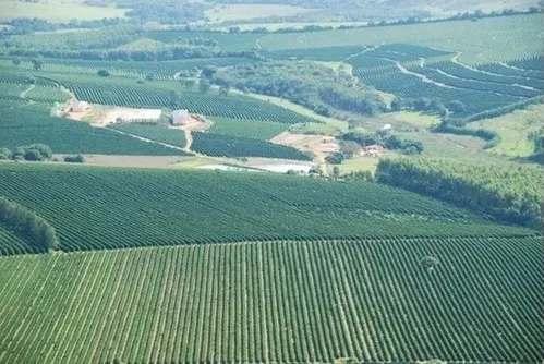 Farm for sale of 1,310 acres in Piumhi, MG, Brazil