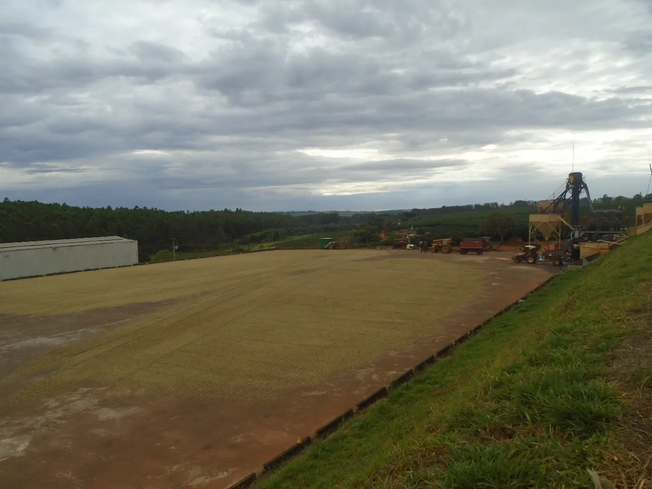 Farm for sale of 1,310 acres in Piumhi, MG, Brazil