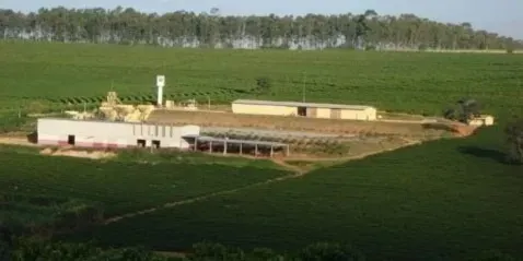 Farm for sale of 1,310 acres in Piumhi, MG, Brazil