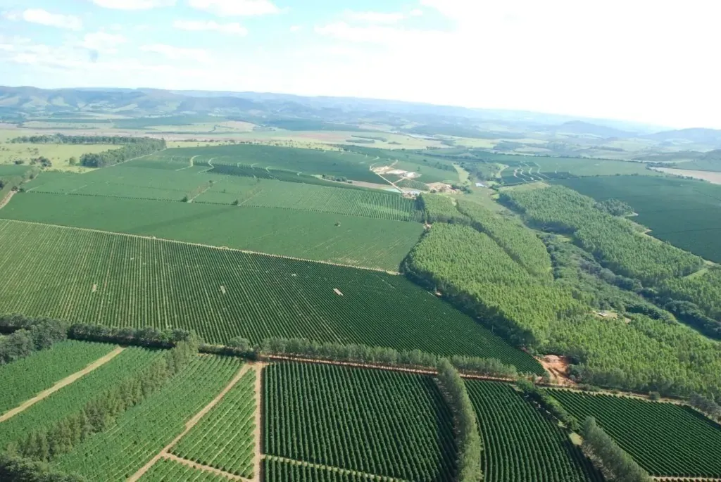 Farm for sale of 1,310 acres in Piumhi, MG, Brazil
