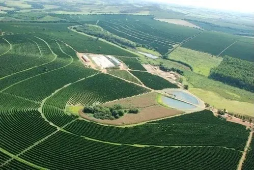 Fazenda à venda de 530 ha em Piumhi, MG, Brasil