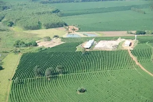 Farm for sale of 1,310 acres in Piumhi, MG, Brazil