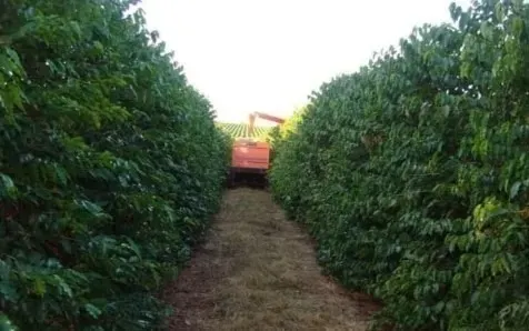 Farm for sale of 1,310 acres in Piumhi, MG, Brazil