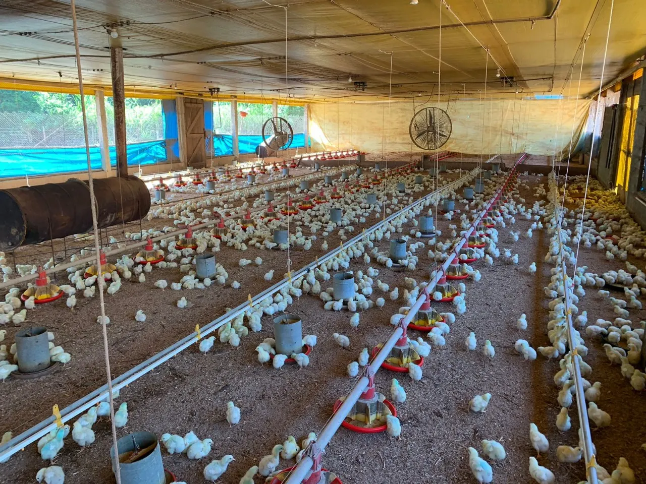 Fazenda à venda de 10 ha em Cabreúva, SP, Brasil