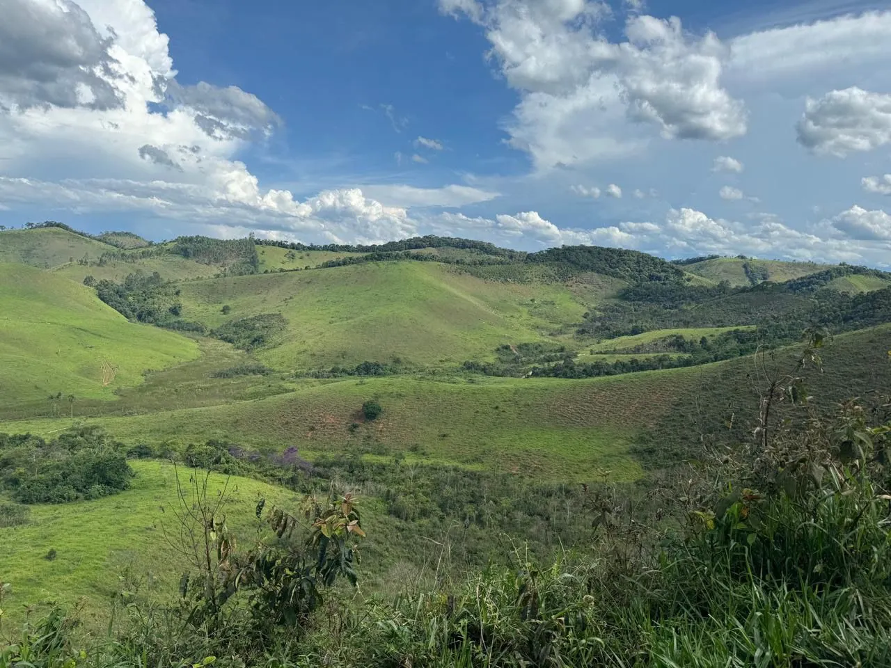 Sítio à venda de 155 ha em Santos Dumont, MG, Brasil