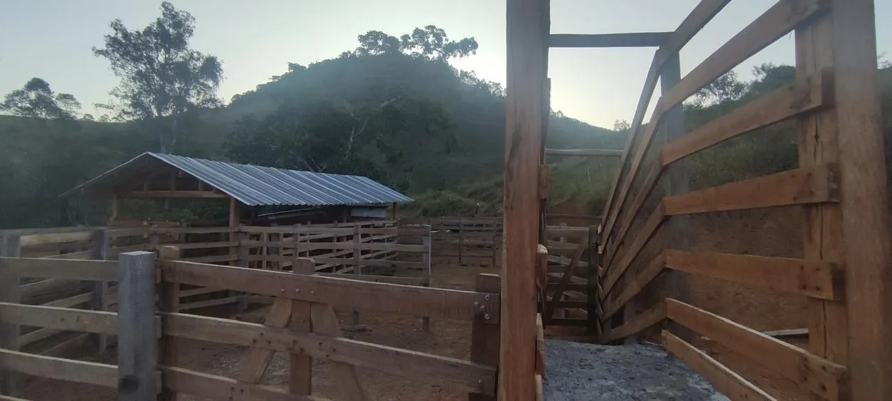 Sítio à venda de 155 ha em Santos Dumont, MG, Brasil