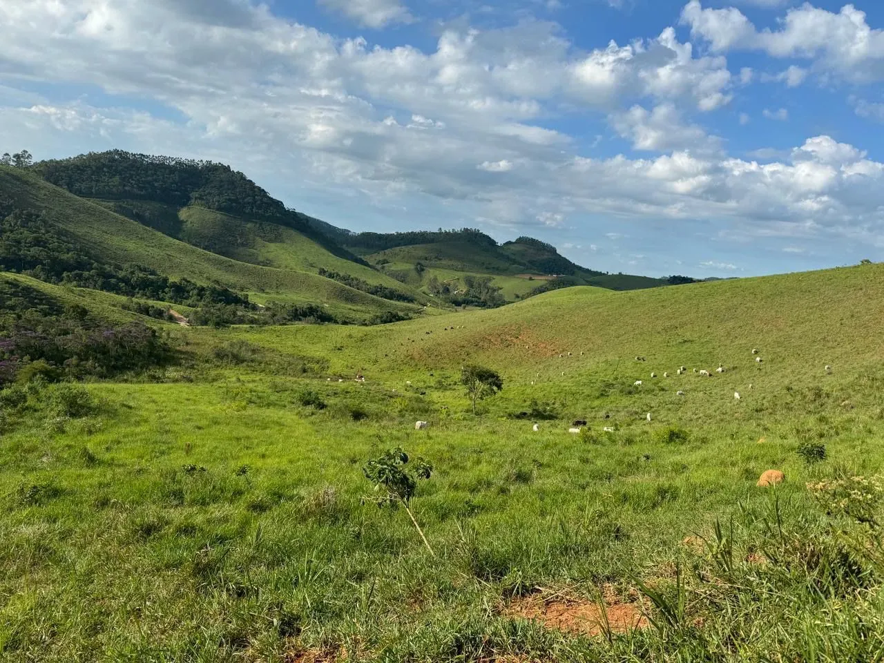 Sítio à venda de 155 ha em Santos Dumont, MG, Brasil