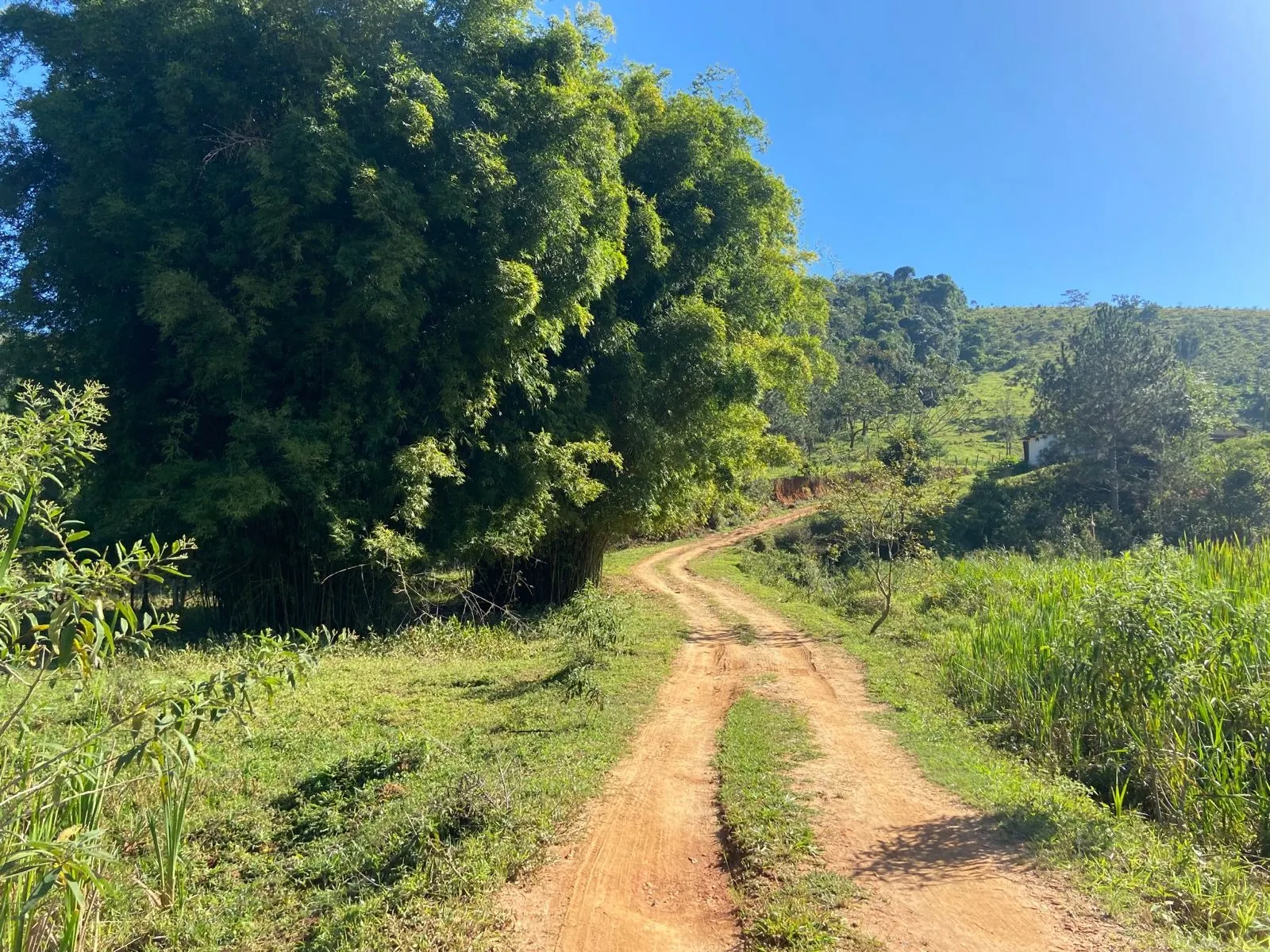 Sítio à venda de 5 ha em São José dos Campos, SP, Brasil