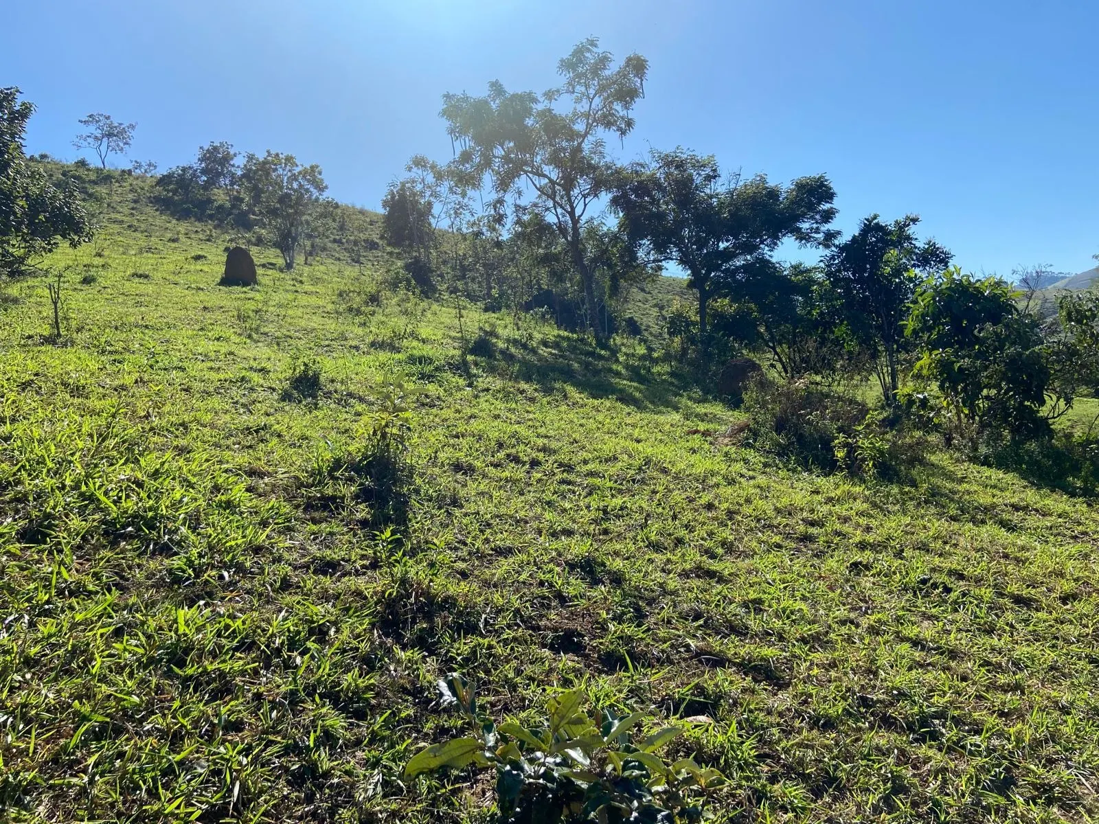 Sítio à venda de 5 ha em São José dos Campos, SP, Brasil