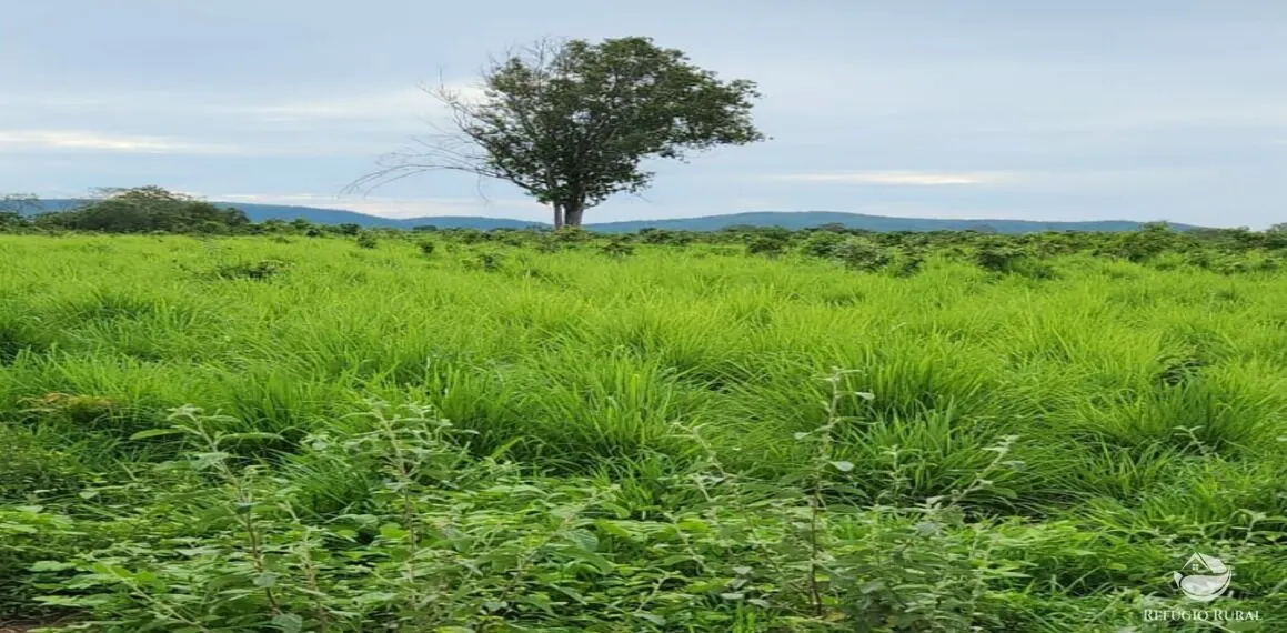 Fazenda à venda de 5.057 ha em Peixe, TO, Brasil