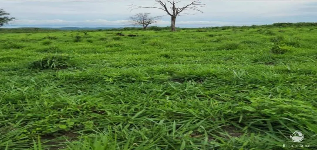 Fazenda à venda de 5.057 ha em Peixe, TO, Brasil