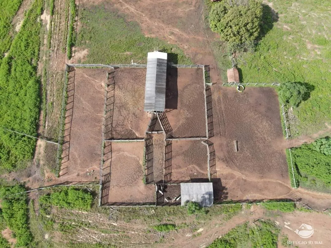 Fazenda à venda de 5.057 ha em Peixe, TO, Brasil