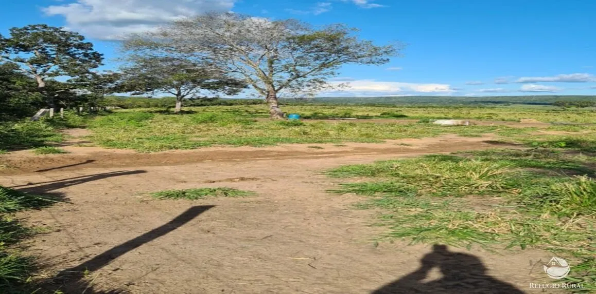 Fazenda à venda de 5.057 ha em Peixe, TO, Brasil