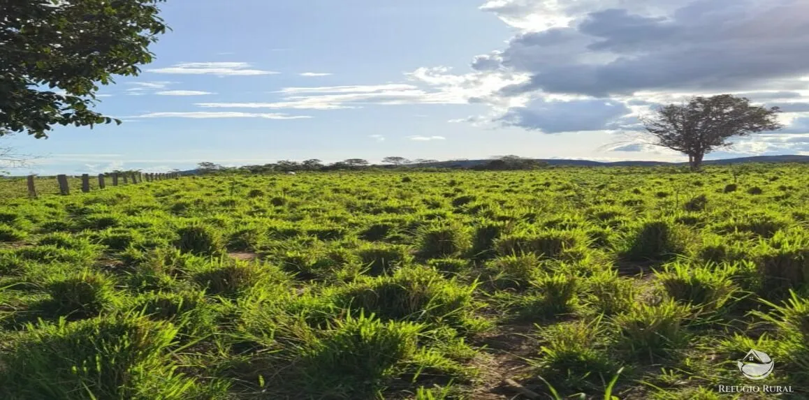 Fazenda à venda de 5.057 ha em Peixe, TO, Brasil