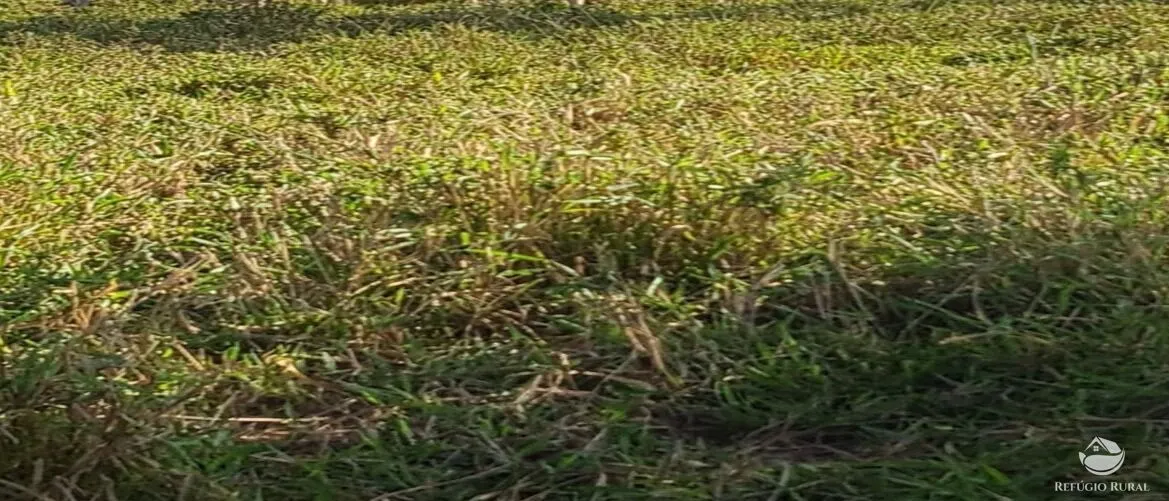 Fazenda à venda de 5.057 ha em Peixe, TO, Brasil