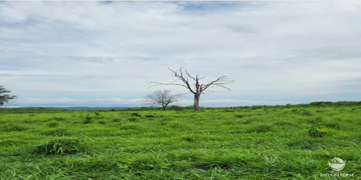Fazenda à venda de 5.057 ha em Peixe, TO, Brasil