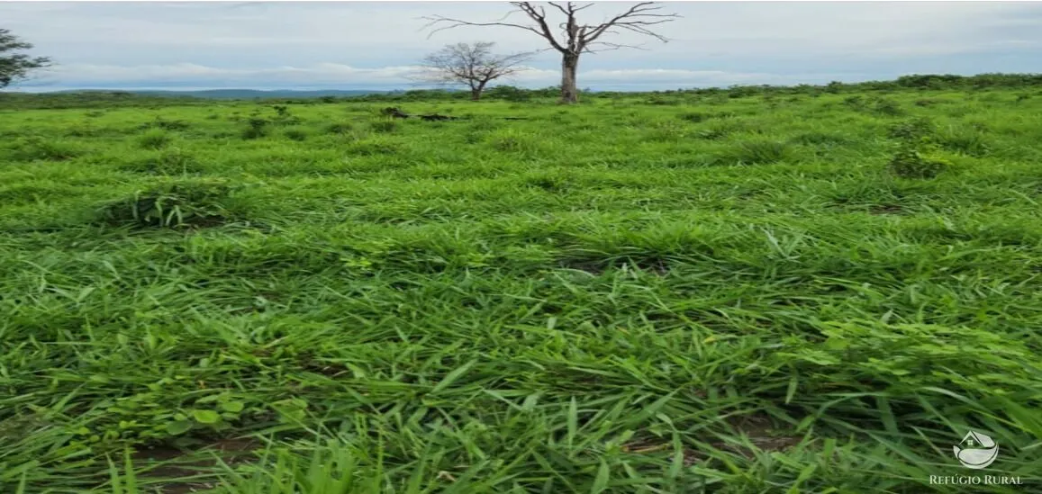 Fazenda à venda de 5.057 ha em Peixe, TO, Brasil