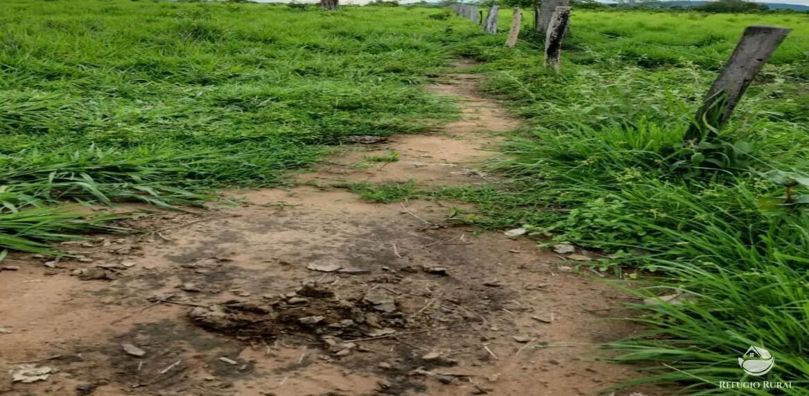 Fazenda à venda de 5.057 ha em Peixe, TO, Brasil
