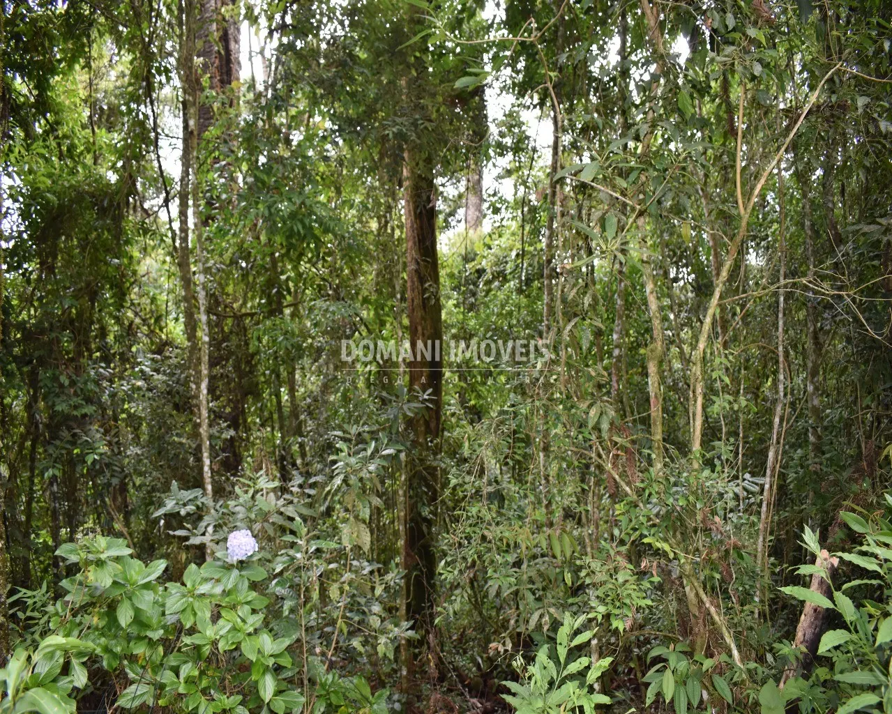 Plot for sale of 900 m² in Campos do Jordão, SP, Brazil